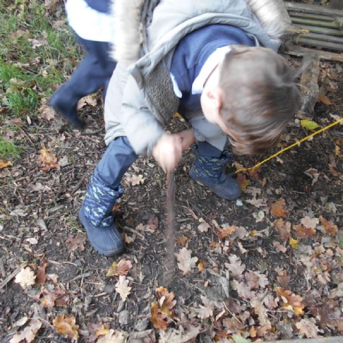 Forest School