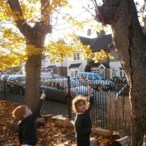 Reception made bird feeders and hung them up in our outside area.